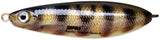 Pretzāļu vizulis Rapala Rattlin Minnow Spoon 16g 8cm 9/16 oz