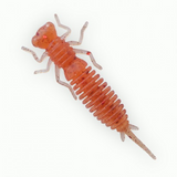 Fanatic Larva 1.6" 4cm